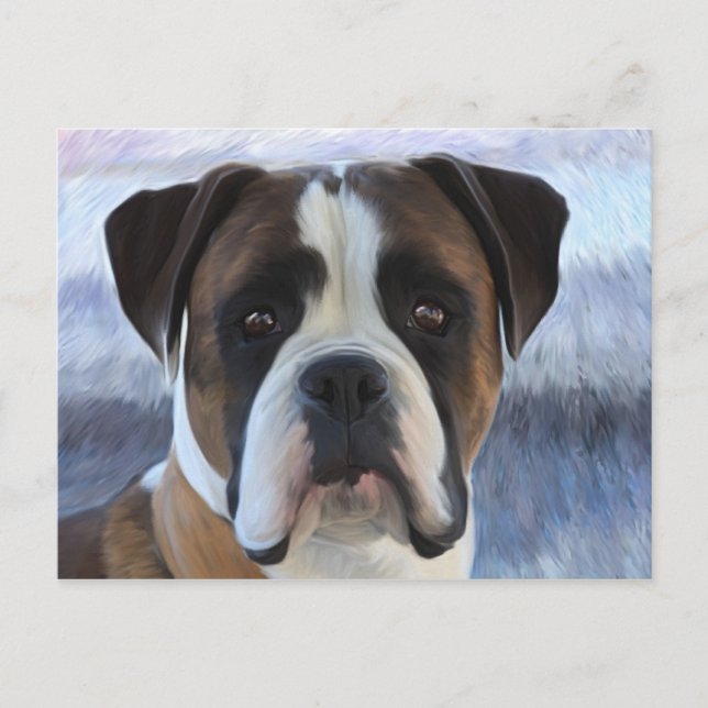 Boxer Vykort (Framsida)