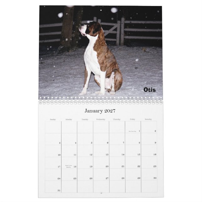 BoxerCrazy 2009 kalender (Jan 2027)