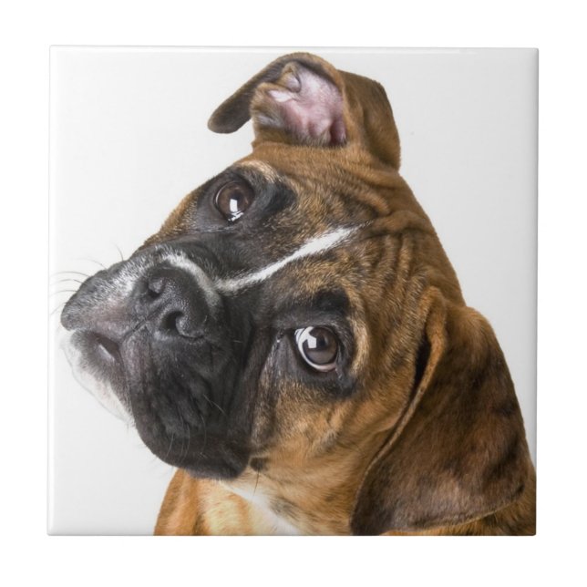Boxerhund dekorativ kakel (Framsidan)