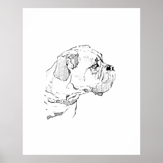 Boxerhund – Hundälskare Minimalistisk Illustration Poster (Framsidan)