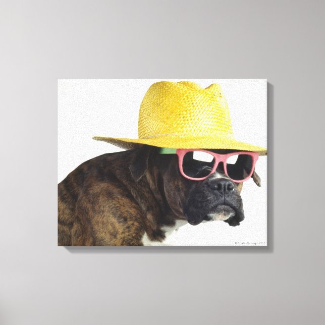 Boxerhund med hatt och glas canvastryck (Framsida)