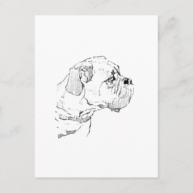 Boxerhund – minimalistisk illustration för hundäls vykort (Framsida)