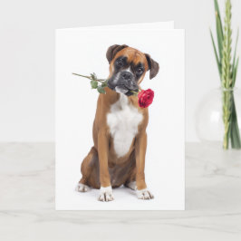 Boxerhund Valentine Kort