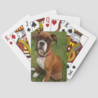 BOXERNA ÄR SPECIELLA CASINOKORT