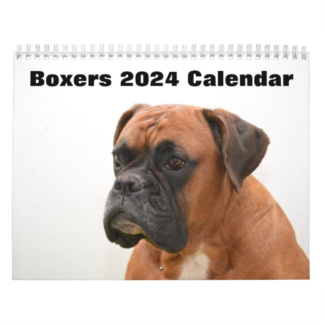 Boxers Hundar 2024 Kalender (Omslag)