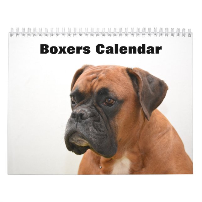 Boxers Hundar 2025 Kalender (Omslag)
