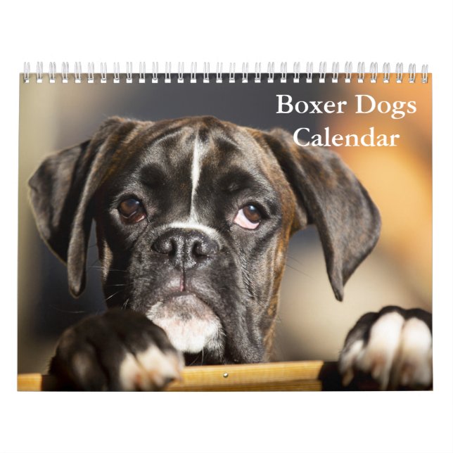 Boxers Hundar 2025 Kalender (Omslag)