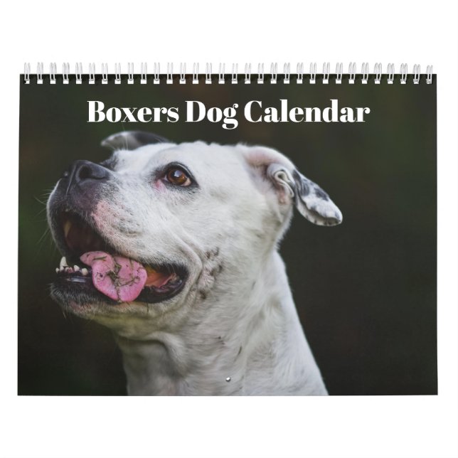 Boxers Hundar 2025-kalender Kalender (Omslag)