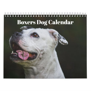Boxers Hundar 2025-kalender Kalender