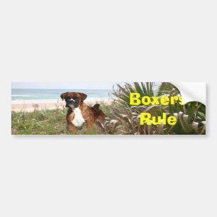 Boxers Rule Klistermärke