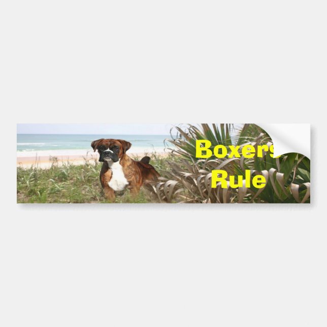 Boxers Rule Klistermärke (Framsidan)