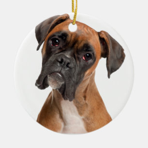 Boxervalp Julgransprydnad Keramik