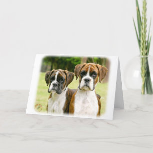 Boxervalpar 9Y049D-064 Kort