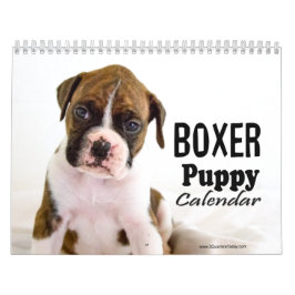 Boxervalskalender Kalender