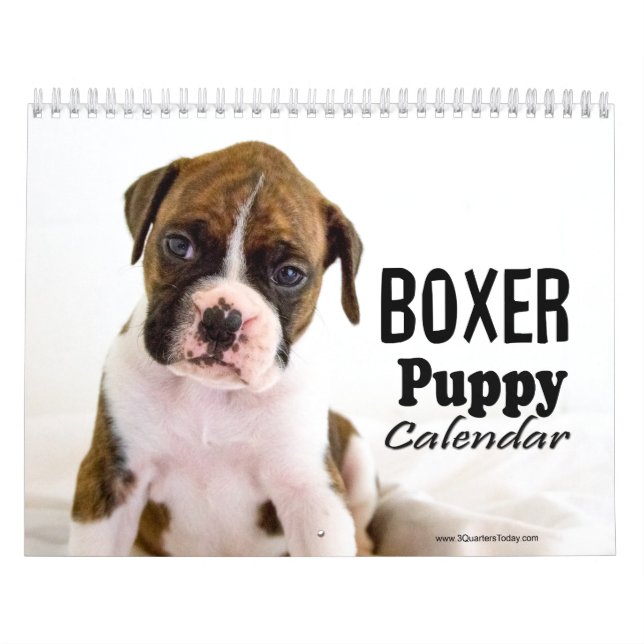 Boxervalskalender Kalender (Omslag)