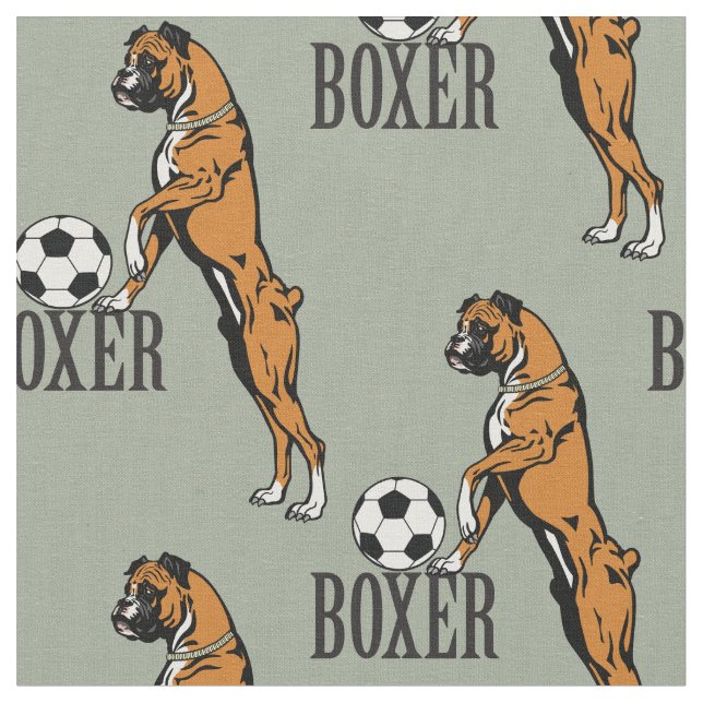 boxerväv med fotbolls-hund tyg (Närbild)