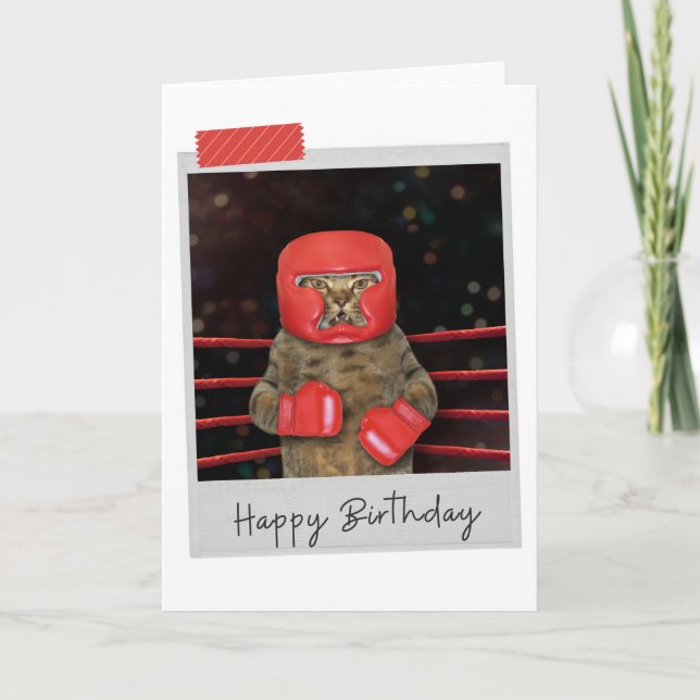 Boxing Cat Funny Birthday-kort Kort (Framsida)