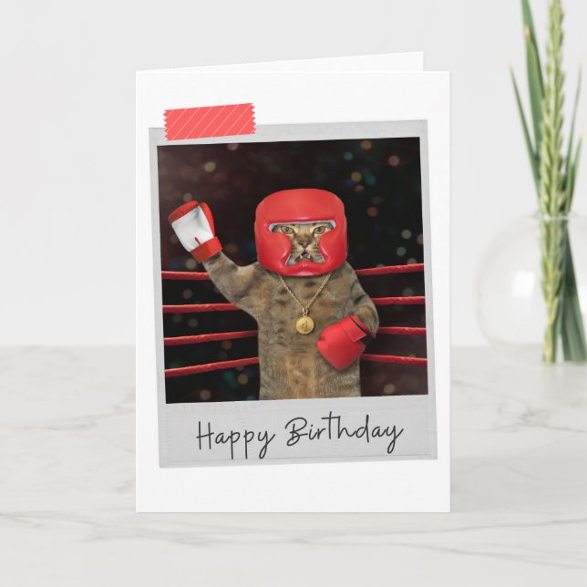 Boxing Cat Funny Birthday-kort Kort (Framsida)