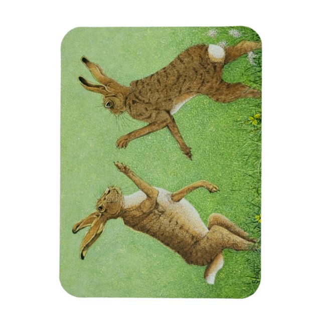 Boxing clever magnet (Vertikal)