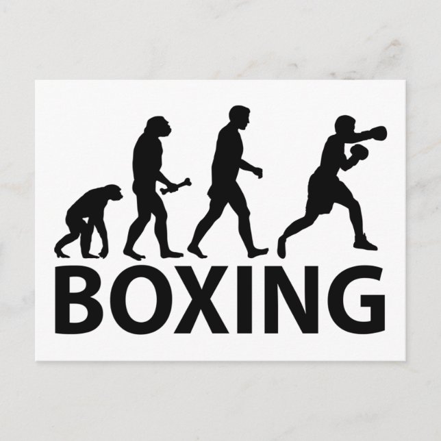 Boxing Evolution Vykort (Framsida)