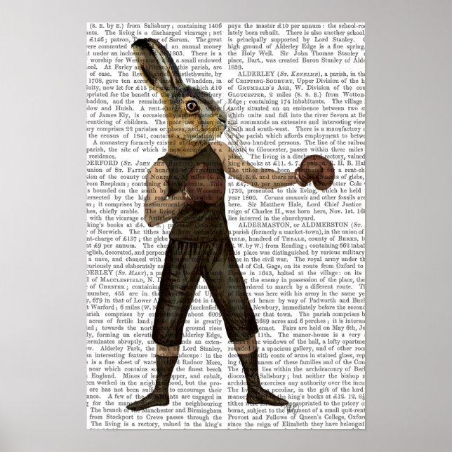 Boxing Hare Poster (Framsidan)