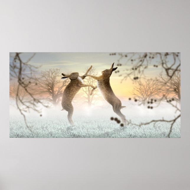 Boxing Hares Poster (Framsidan)