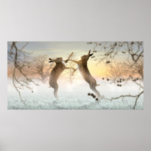 BoxningHares Poster