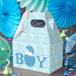 Boy Baby Gender Reveal Party Presentaskar