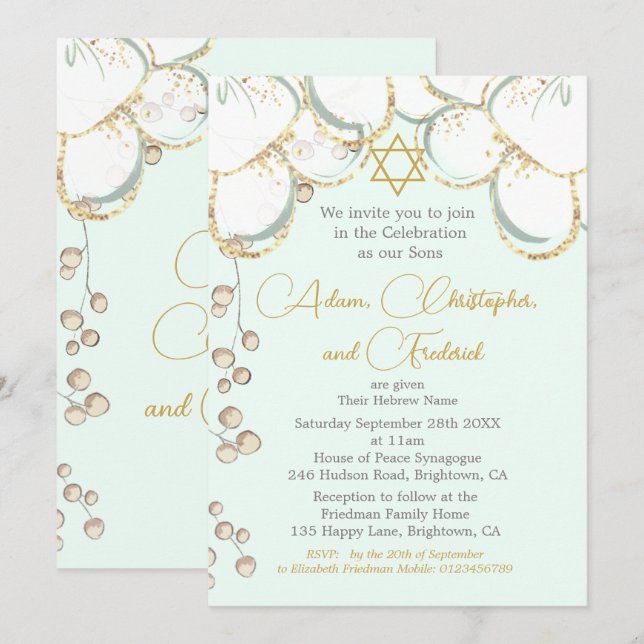 Boy Baby Hebrew Twin Triplet Naming Ceremony Inbjudningar (Fram/baksida)
