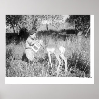 Boy matar antelope poster
