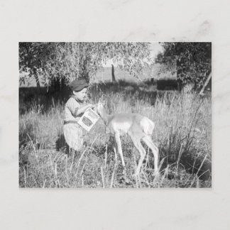 Boy matar antelope vykort