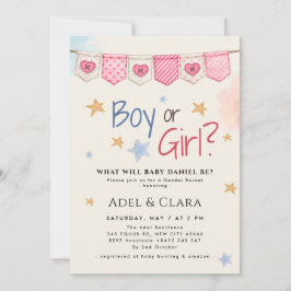 Boy or Girl Gender Reveal Invitation Inbjudningar