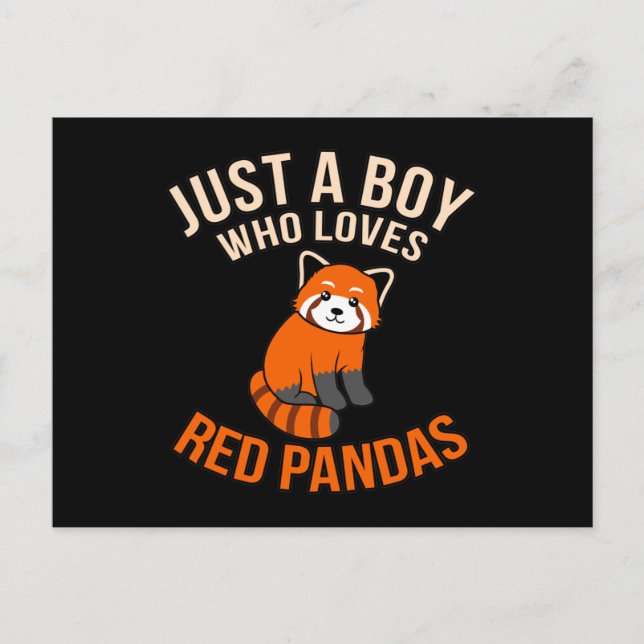 Boy WHO Red Pandas Cute Pet Animal Panda Lov Meddelande Vykort (Framsida)