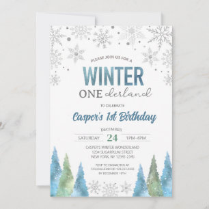 Boy Winter Onederland Snöflingor First Birthday Inbjudningar