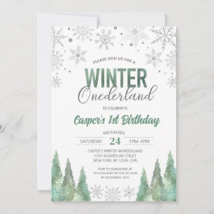 Boy Winter Onederland Snöflingor First Birthday Inbjudningar