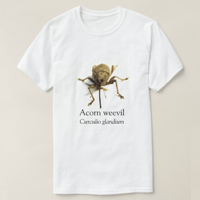 BOYB Acorn Weonde T Shirt (Design framsida)