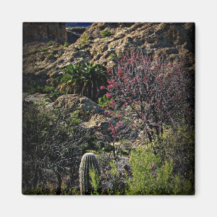 Boyce Thompson Arboretum Magnet