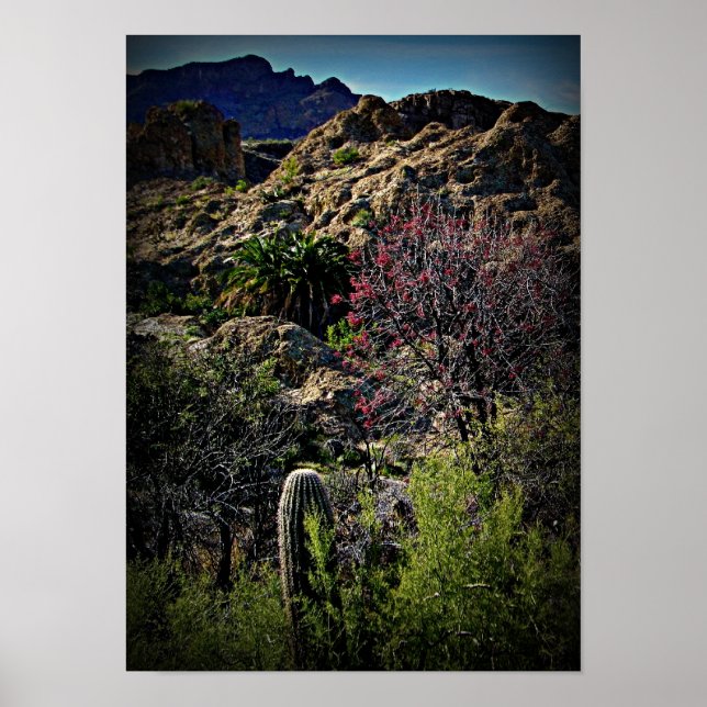 Boyce Thompson Arboretum Poster (Framsidan)