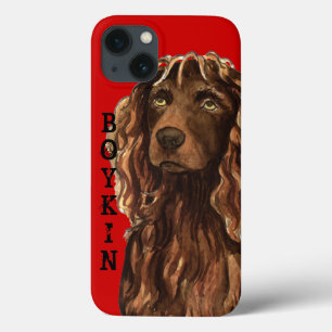 Boykin Spain Färg Block