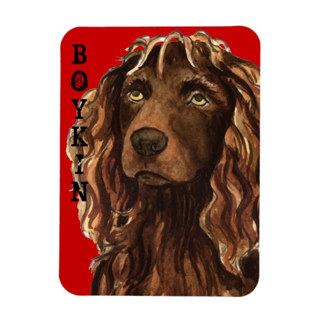 Boykin Spain Färg Block Magnet (Vertikal)