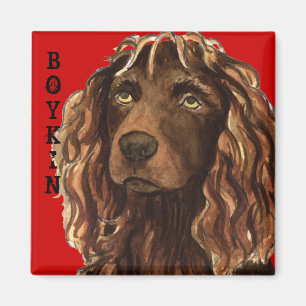 Boykin Spain Färg Block Magnet