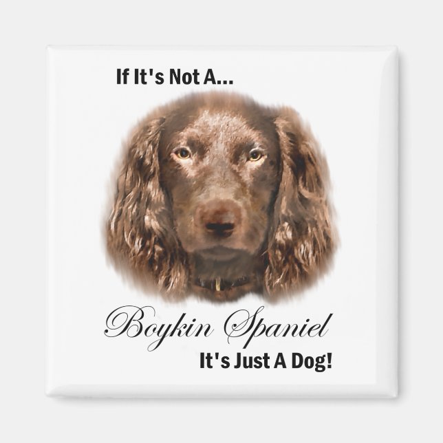 Boykin Spain Gifts Magnet (Framsidan)
