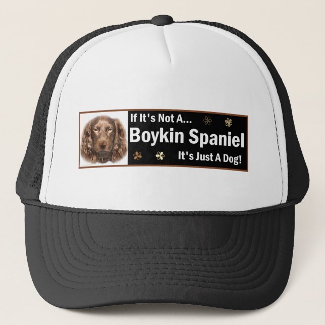 Boykin Spain Gifts Truckerkeps (Framsida)