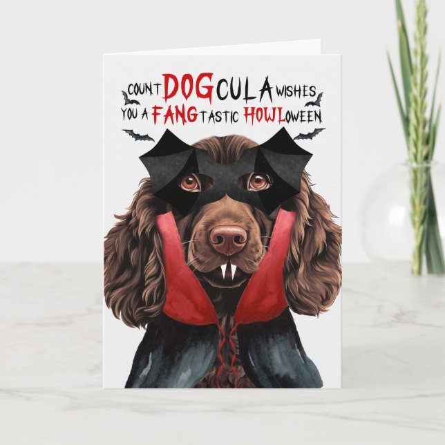 Boykin Spain Hund Funny Count DOGcula Halloween Helgkort (Framsida)