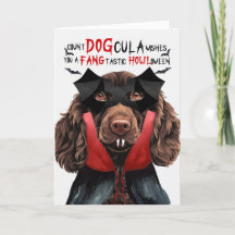 Boykin Spain Hund Funny Count DOGcula Halloween