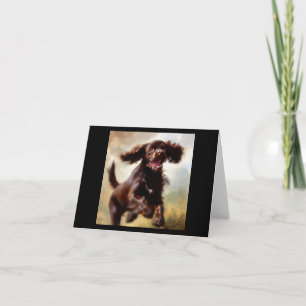 Boykin Spain Hund Kort
