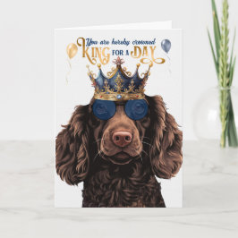 Boykin Spain Hund Kung för Day Funny Birthday Kort