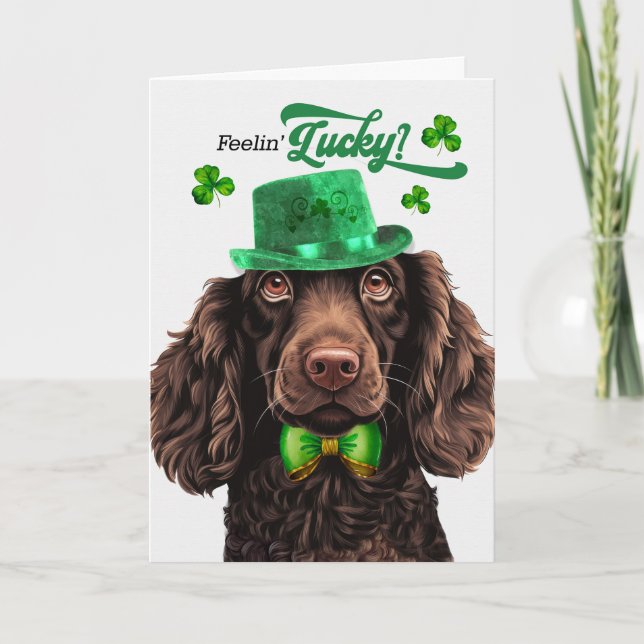 Boykin Spain Hund Lucky St patrick's day Helgkort (Framsida)