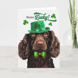Boykin Spain Hund Lucky St patrick's day Helgkort