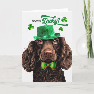 Boykin Spain Hund Lucky St patrick's day Helgkort
